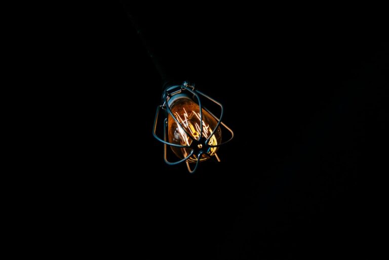 Photo Edison bulbs