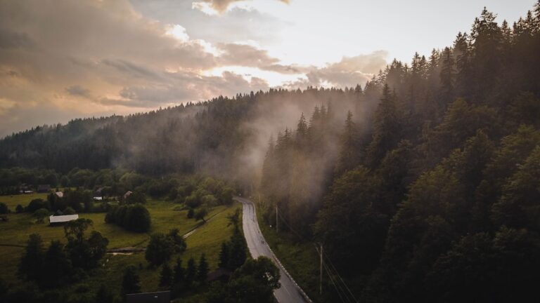Photo DJI Mavic Mini