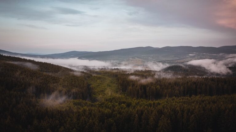 Photo DJI Mavic Mini